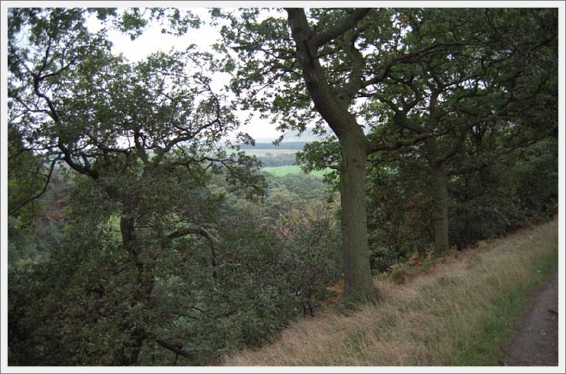 003-WoodlandPath-Mill-Lane