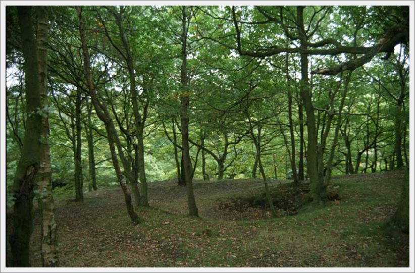 005-WoodlandPath-Mill-Lane