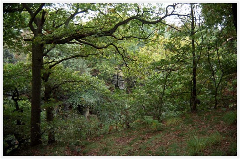 007-WoodlandPath-Mill-Lane