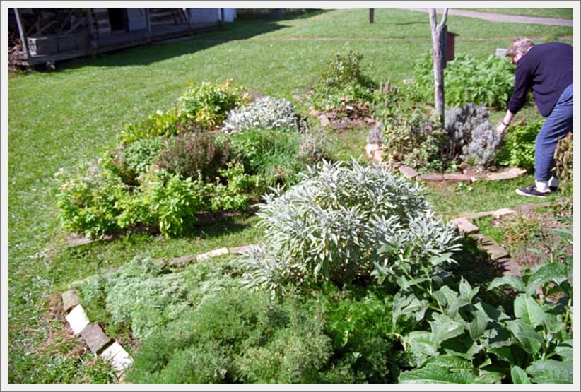 Image027