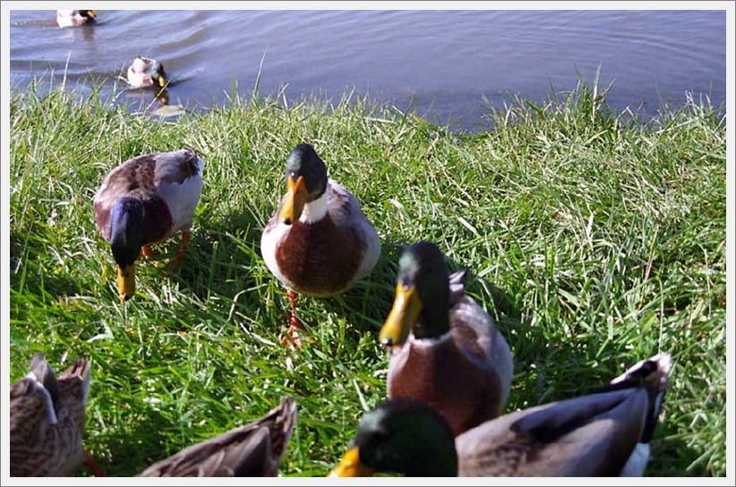 Image040