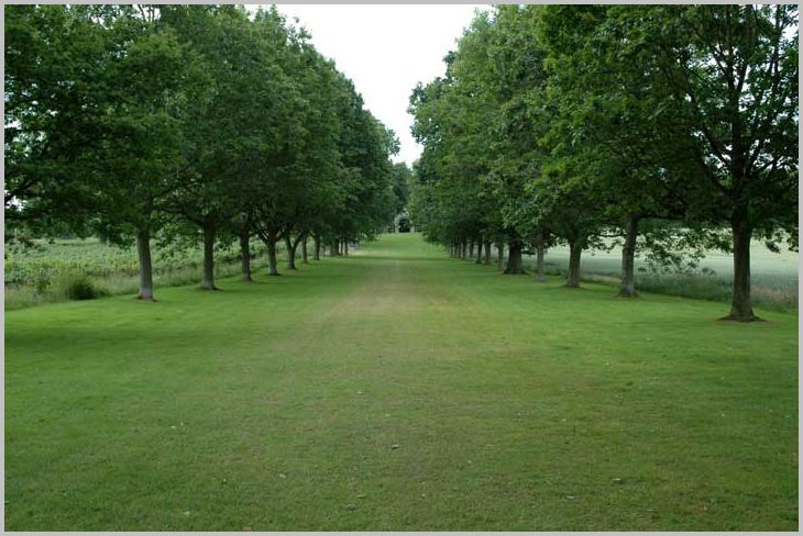 Avenue towards 3 arches - Shobdon